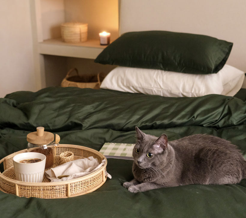 Luxury Core Bedding Bundle I love this shade...