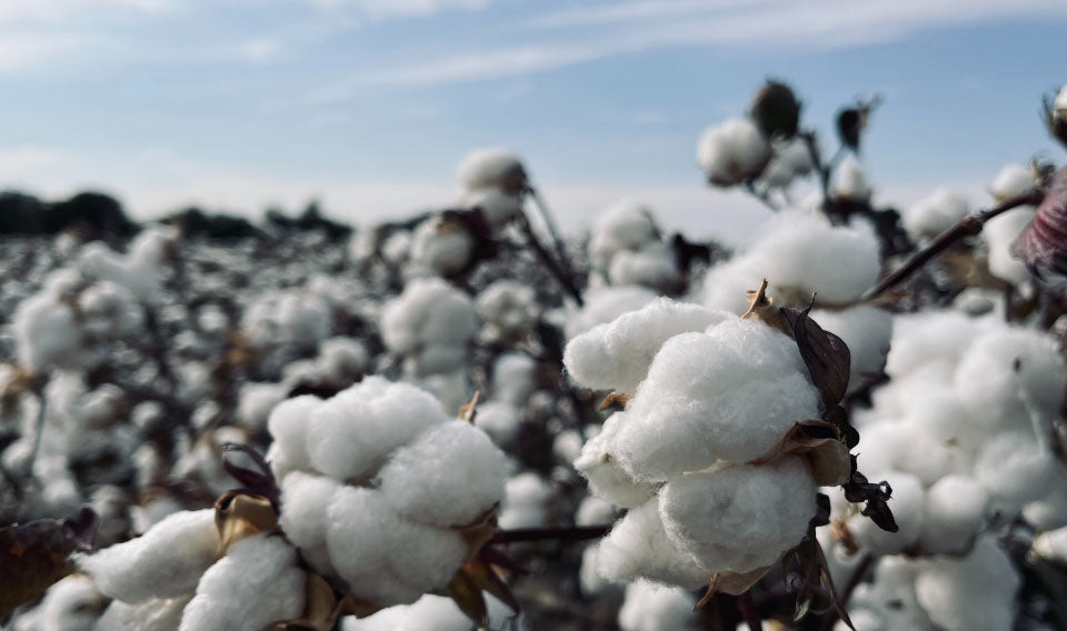 Sustainably sourced, ethically produced. Sustainably sourced, ethically produced.