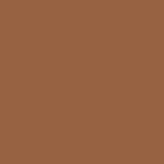 Burnt Orange Burnt Orange