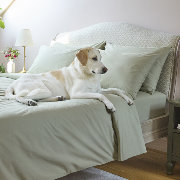 “The quality is second to none. Even after washing they are the most comfortable sheets I have ever slept on.”